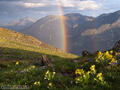 Alpine Rainbows print