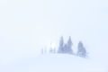 Winter's Mystery print