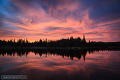 Dance of the Sky