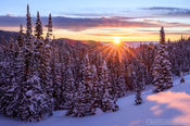 Hope Awakens