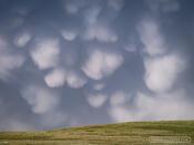 Mammatus Sky