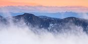 Ptarmigan Above the Clouds