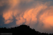 Sunset Show
