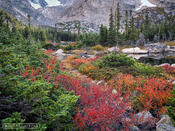 The Colors Below