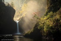 Autumn in the Pacific Northwest