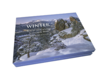 Winter Note Cards