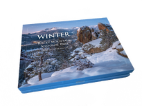 Winter Note Cards