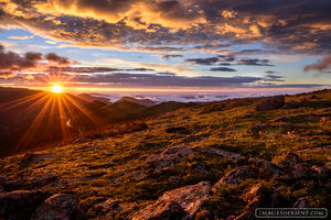 Upper Trail Ridge Road