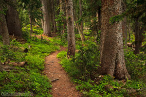 Lion Lake Trail