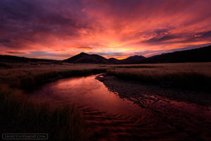 Longing for Light