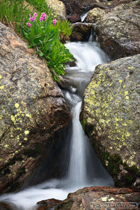 Primrose Fall