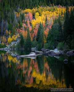 Reflection at Bear