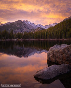 Tranquility