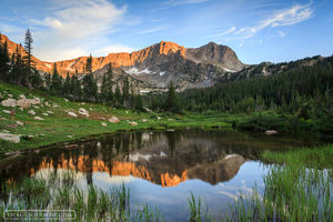 Wild Basin Area