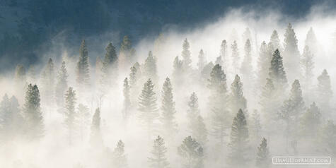 A Welcome Fog