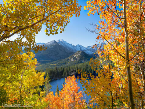 Autumn's Frame