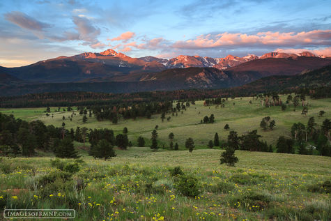 Beaver Meadow July