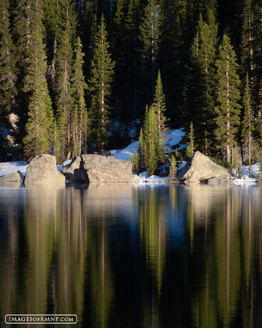 Dancing Reflections
