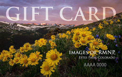 Summer Gift Card