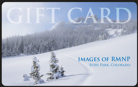 Winter Gift Card