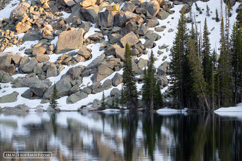 Graphic Tranquility