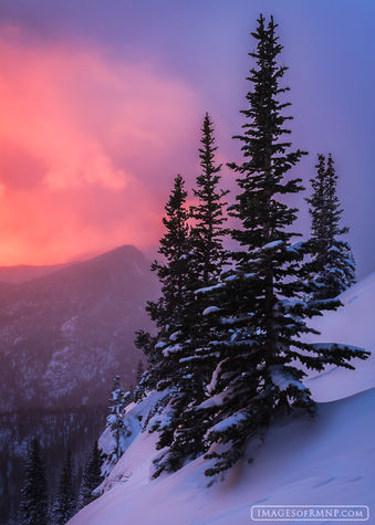 Half Mountain Sentinels