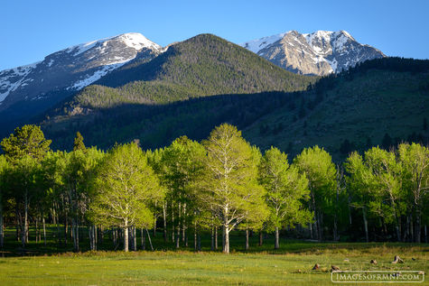 Horseshoe Park Spring