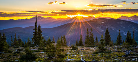 Last Light at Tree Line Pano