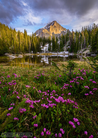 Laurel's Tarn