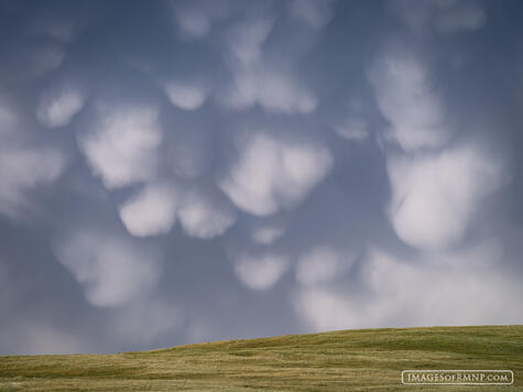Mammatus Sky