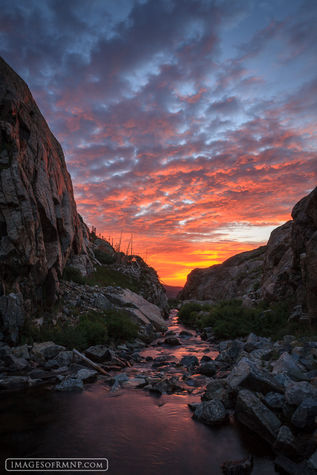 Ouzel Creek Dawn-V