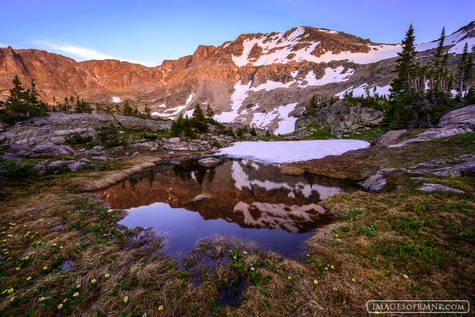 Reflecting on Nature