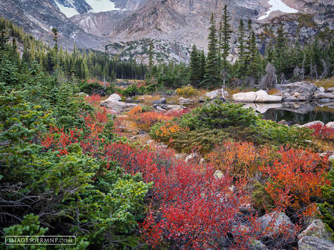 The Colors Below