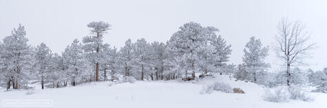 Panoramic Photos | Images of Rocky Mountain National Park