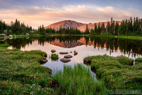 The Sublime Alpine