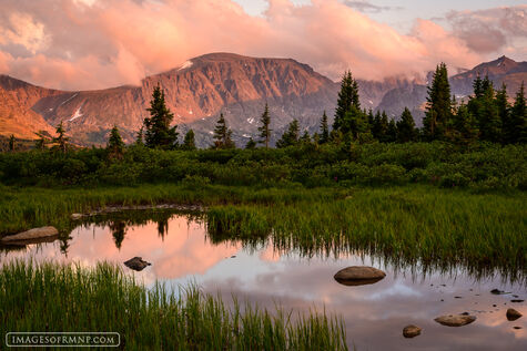 Tranquil Tarn