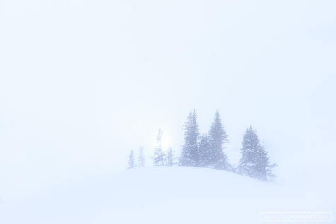 Winter's Mystery