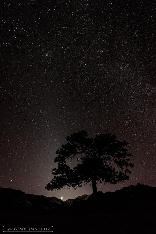 Amongst the Stars print