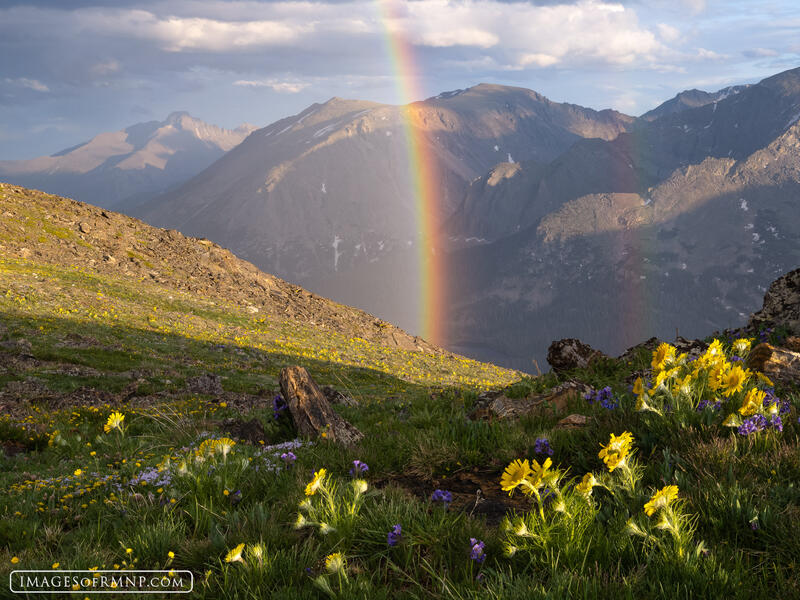 Alpine Rainbows print