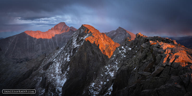 Alpine Royalty Pano print