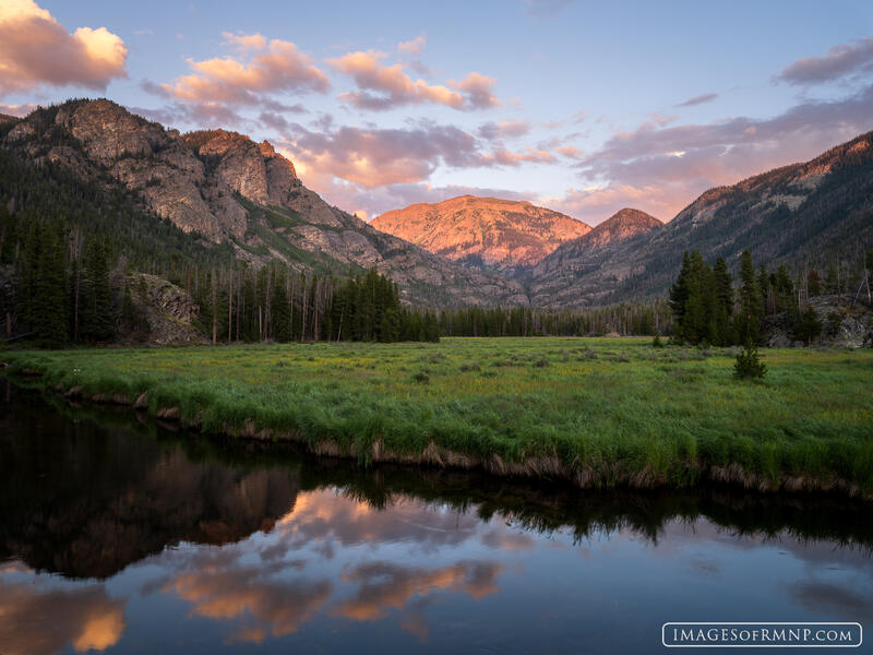 An Evening With Baldy print