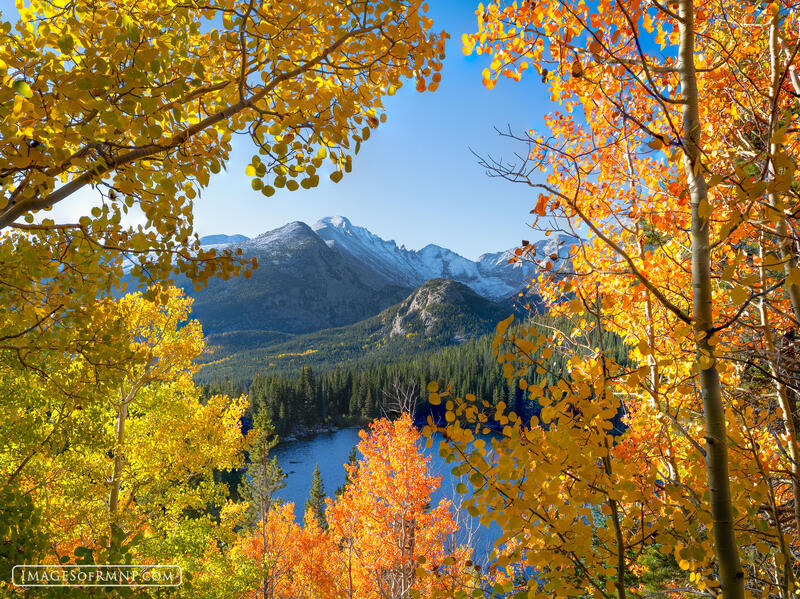 Autumn's Frame print