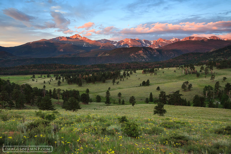 Beaver Meadow July print