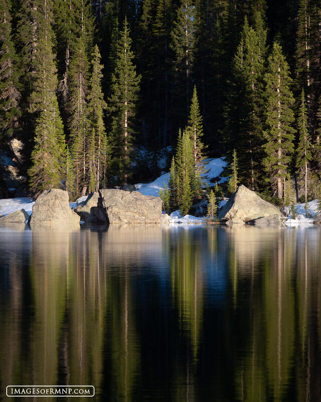 Dancing Reflections print