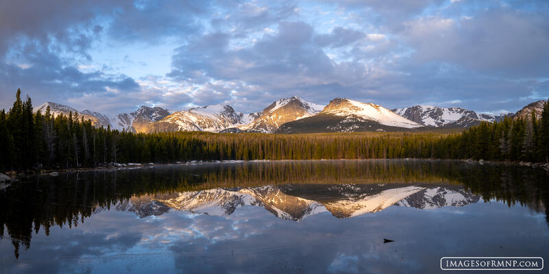 Dappled Delight print