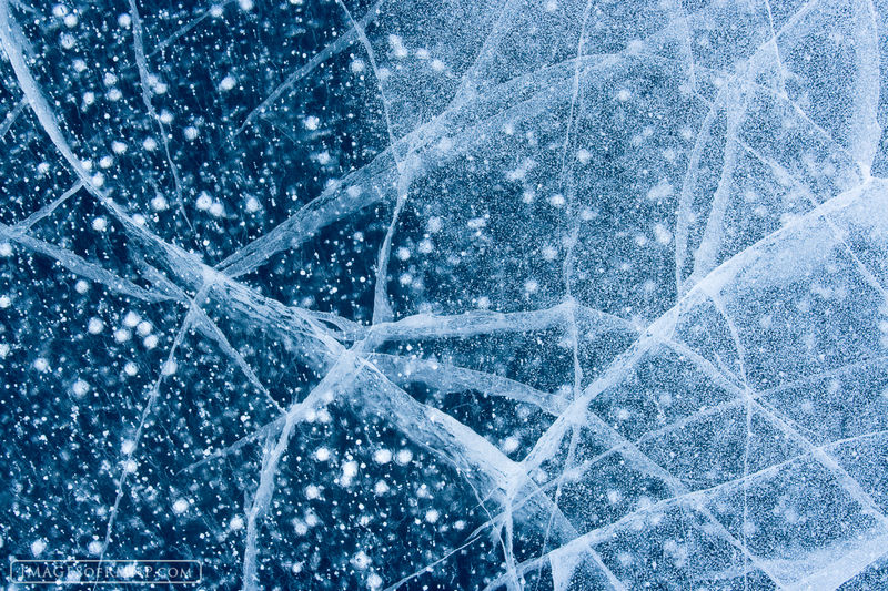 Ice Fan print
