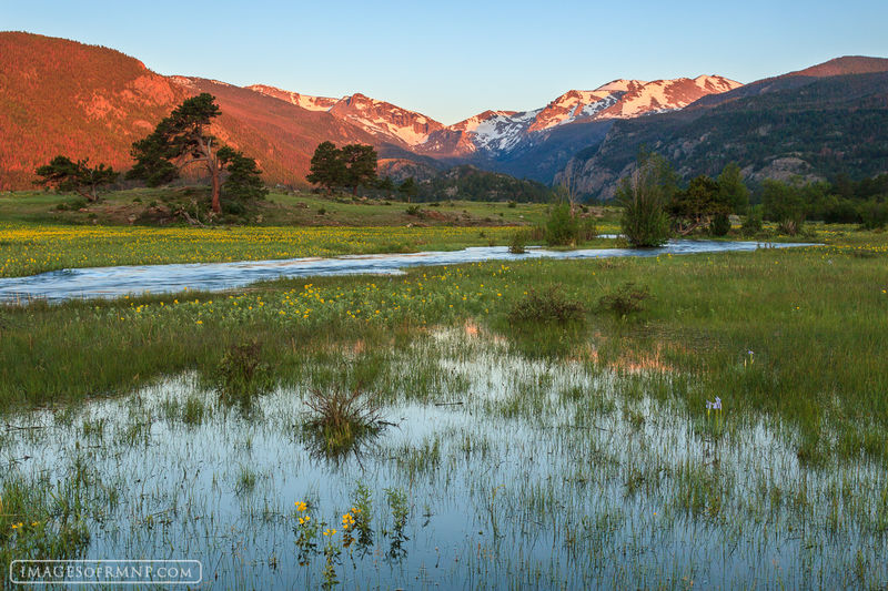 Marshy Moraine print