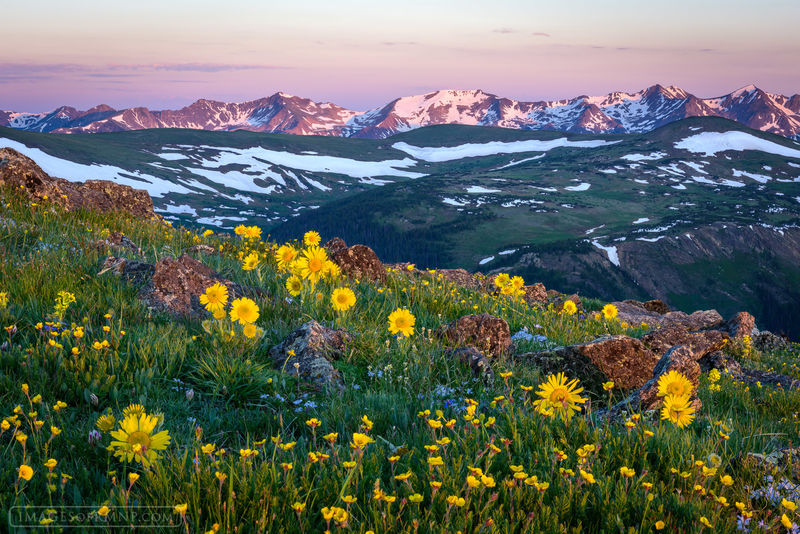 Mountain Symphony  print