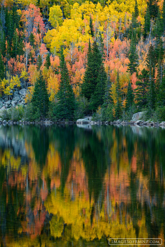 Reflections of Autumn print
