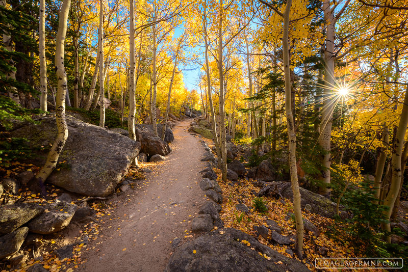 September on the Trail print